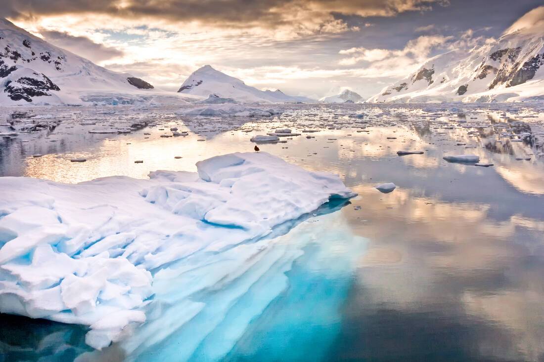 Cruises to Antarctica