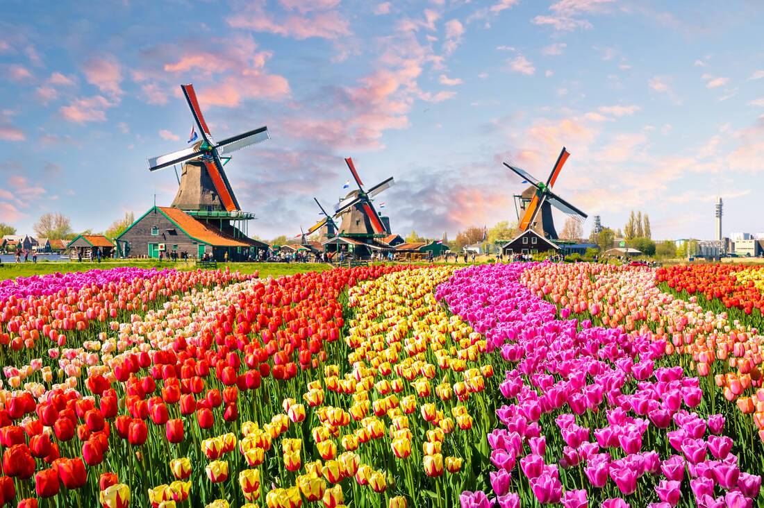 Netherlands view
