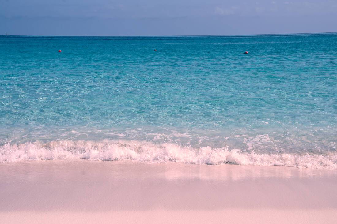 Pink sands beach, Bahamas