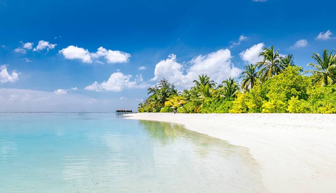 Bahamas