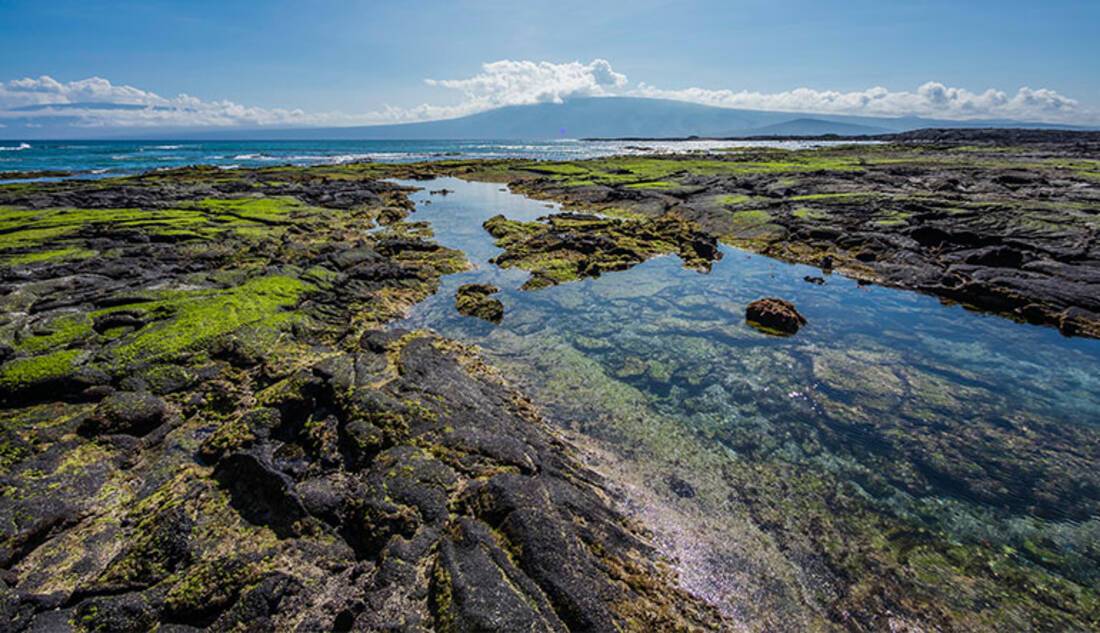 Fernandina Island, Galapagos Islands