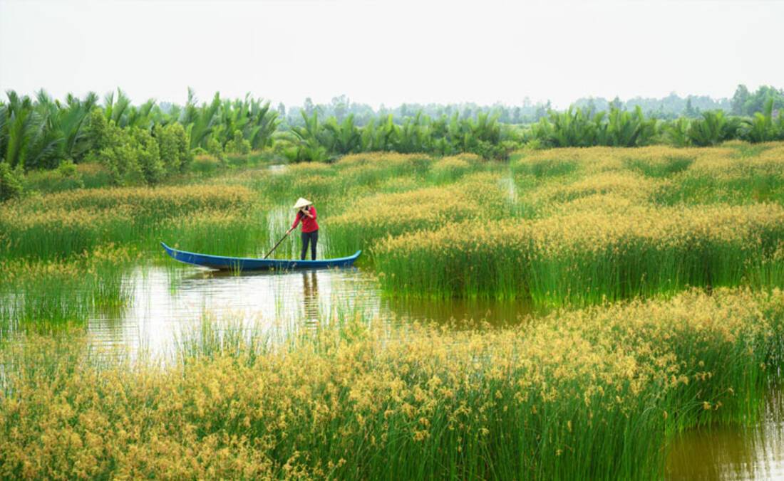 Mekong Delta, Vietnam