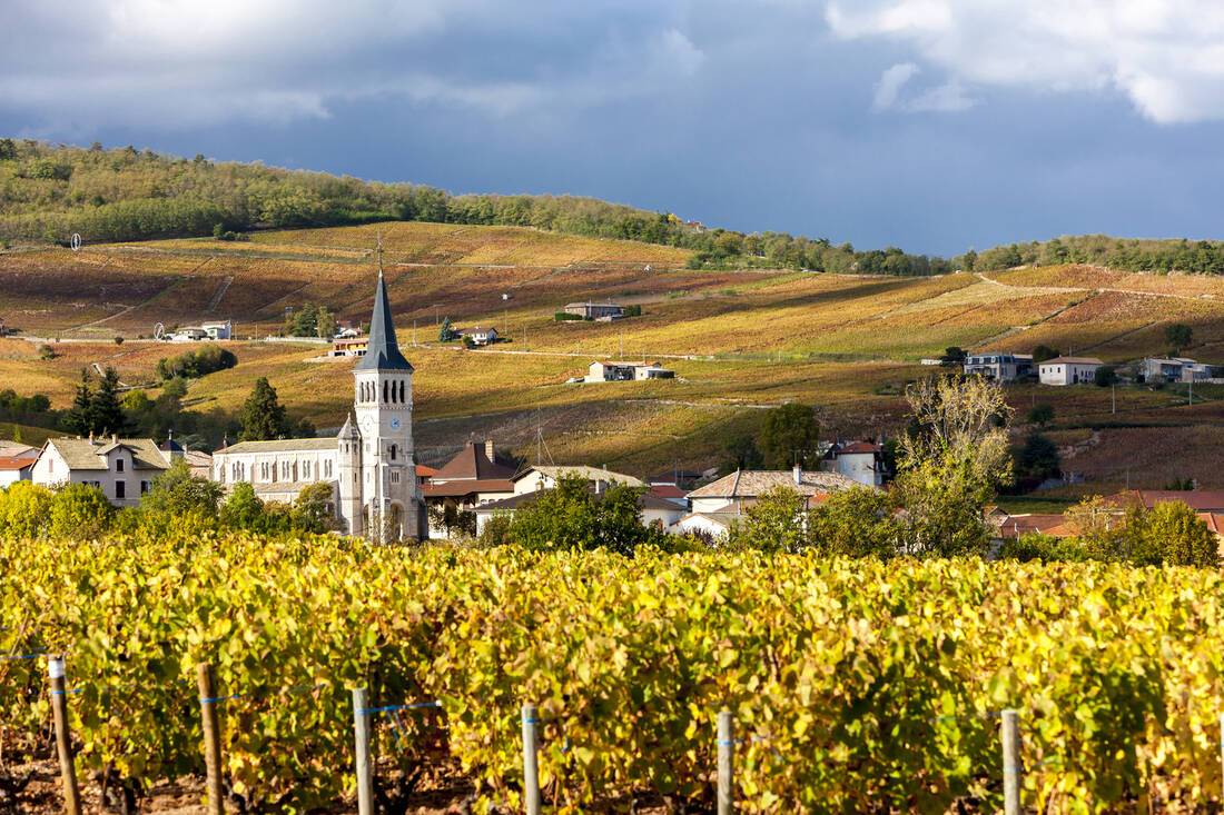 Try some wine from Provence