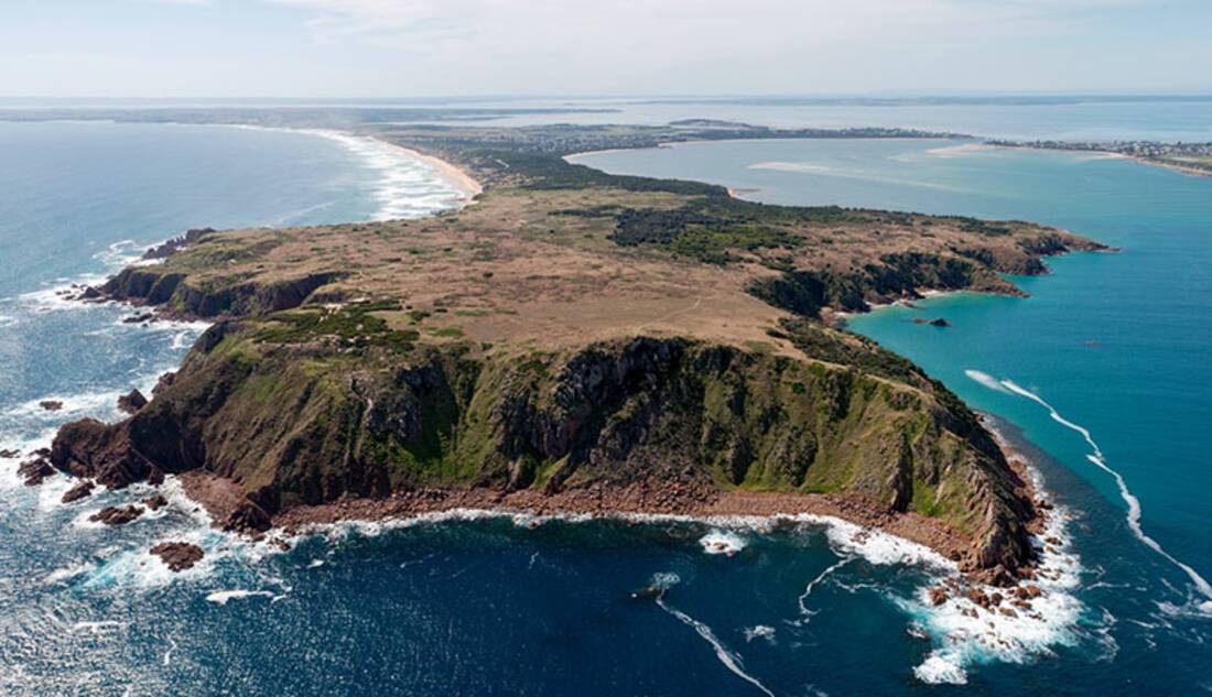 Phillip Island