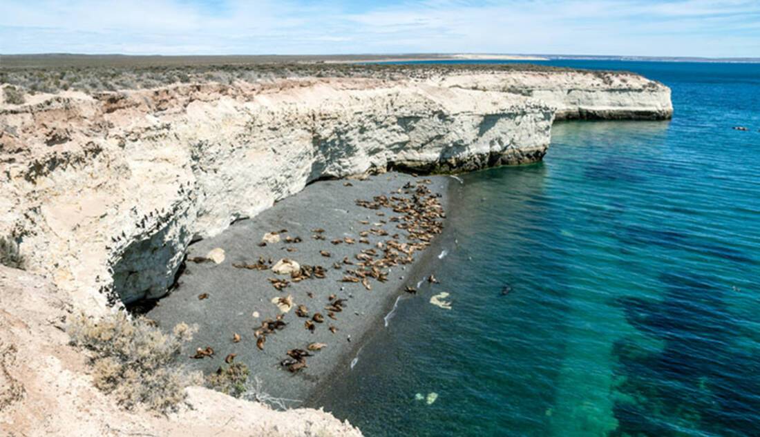 Puerto Madryn