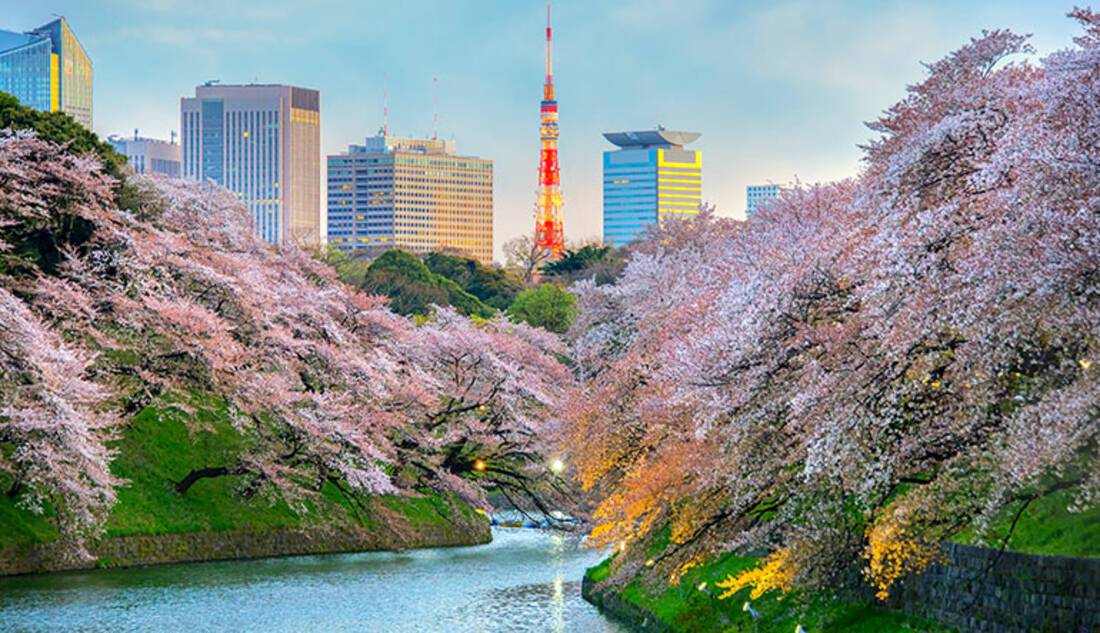 Tokyo, Japan