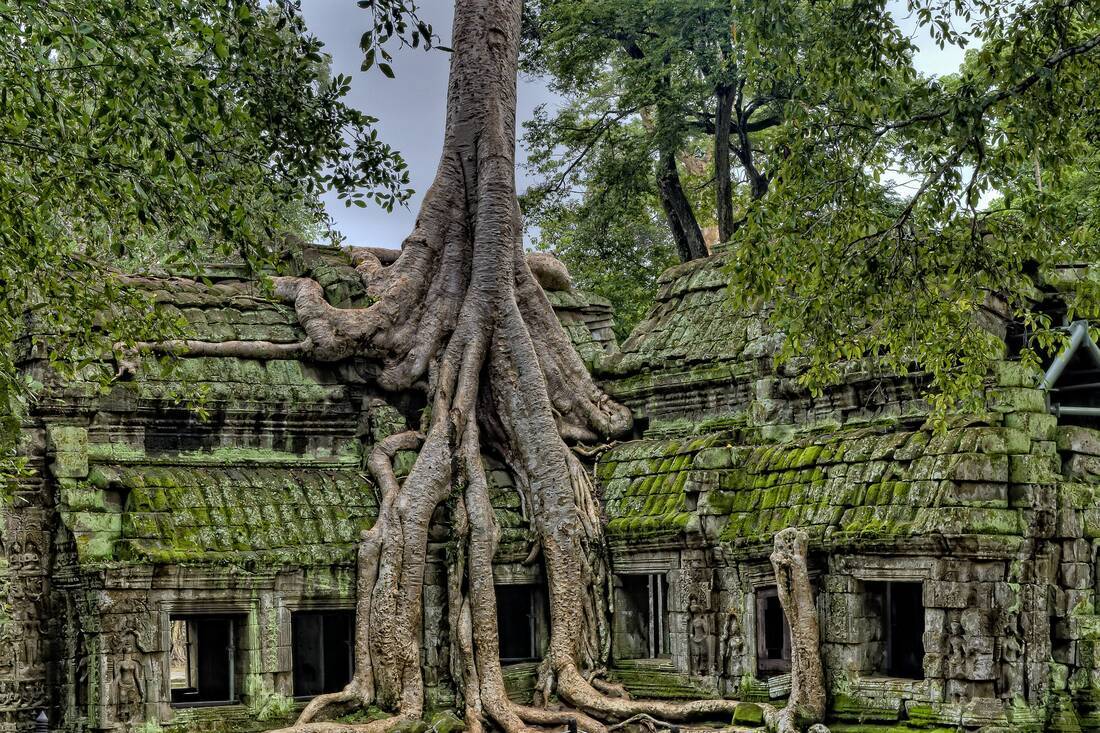 Angkor in Cambodia