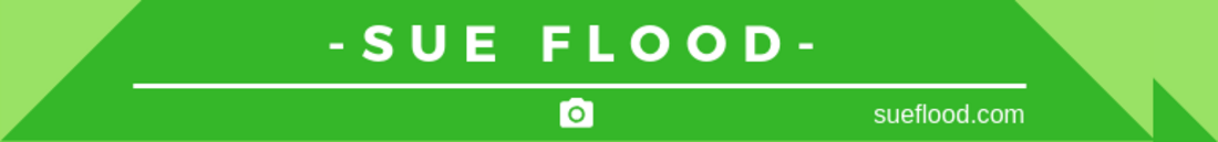 Sue Flood top tips for wildlife photographers header