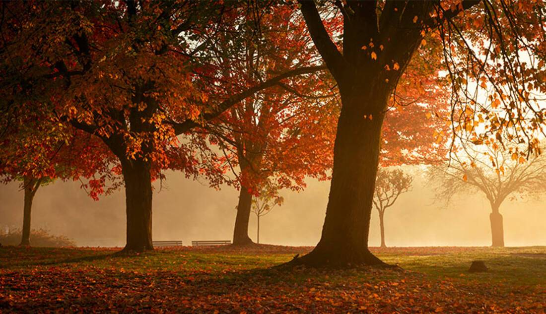 Trout Lake Park, Vancouver