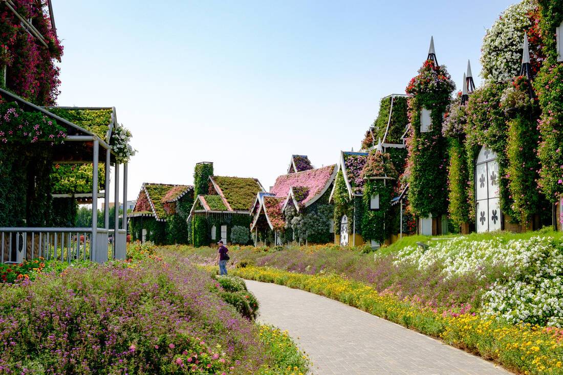 Dubai Miracle Garden