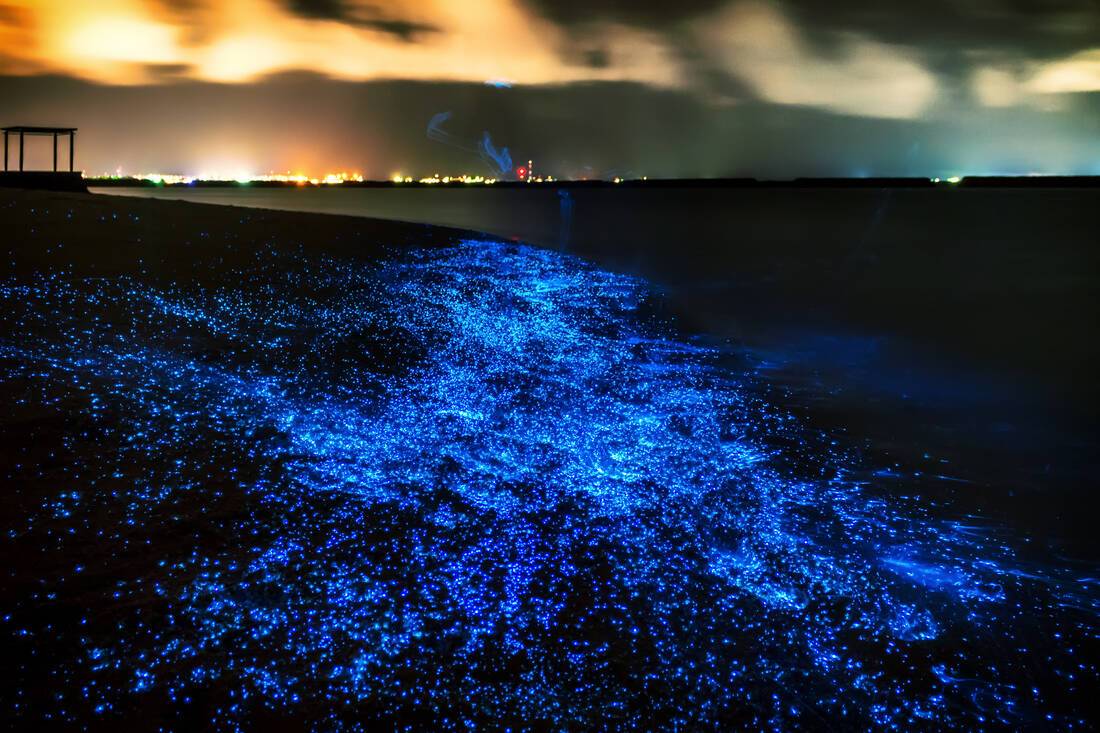 Sea of stars, Maldives
