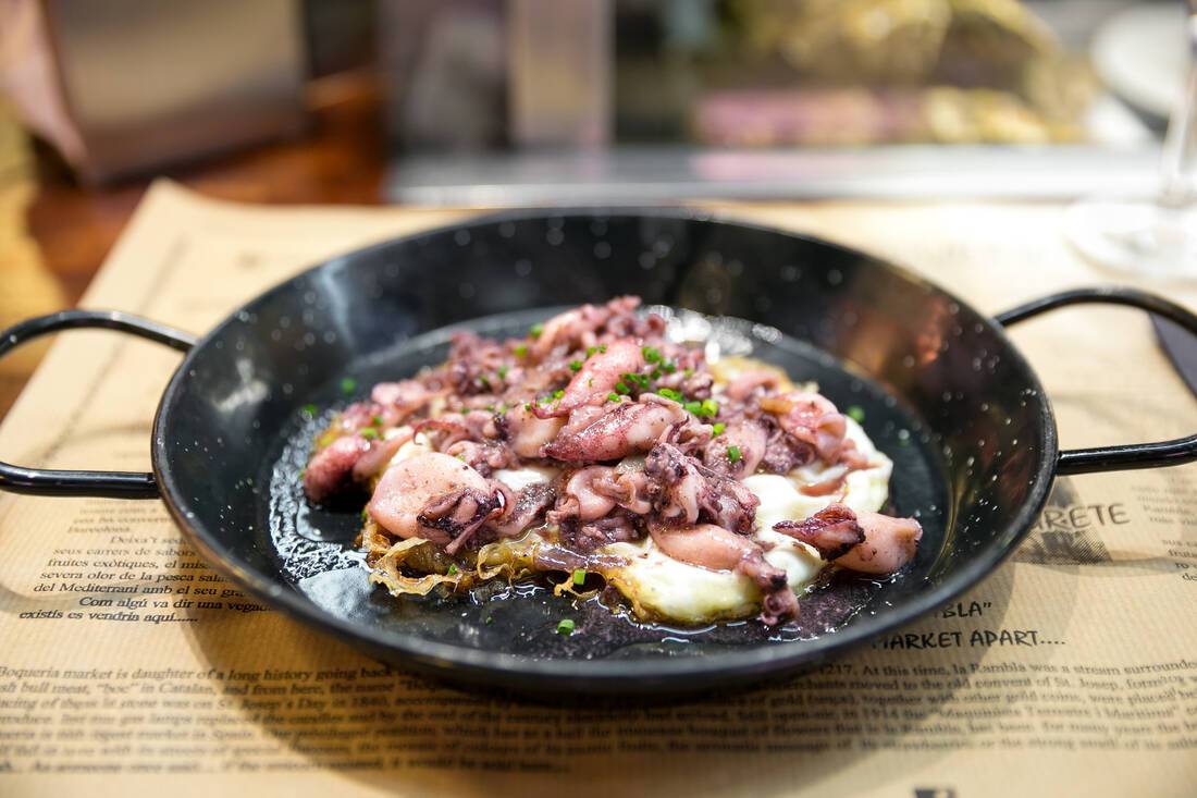 Squid in Barcelona
