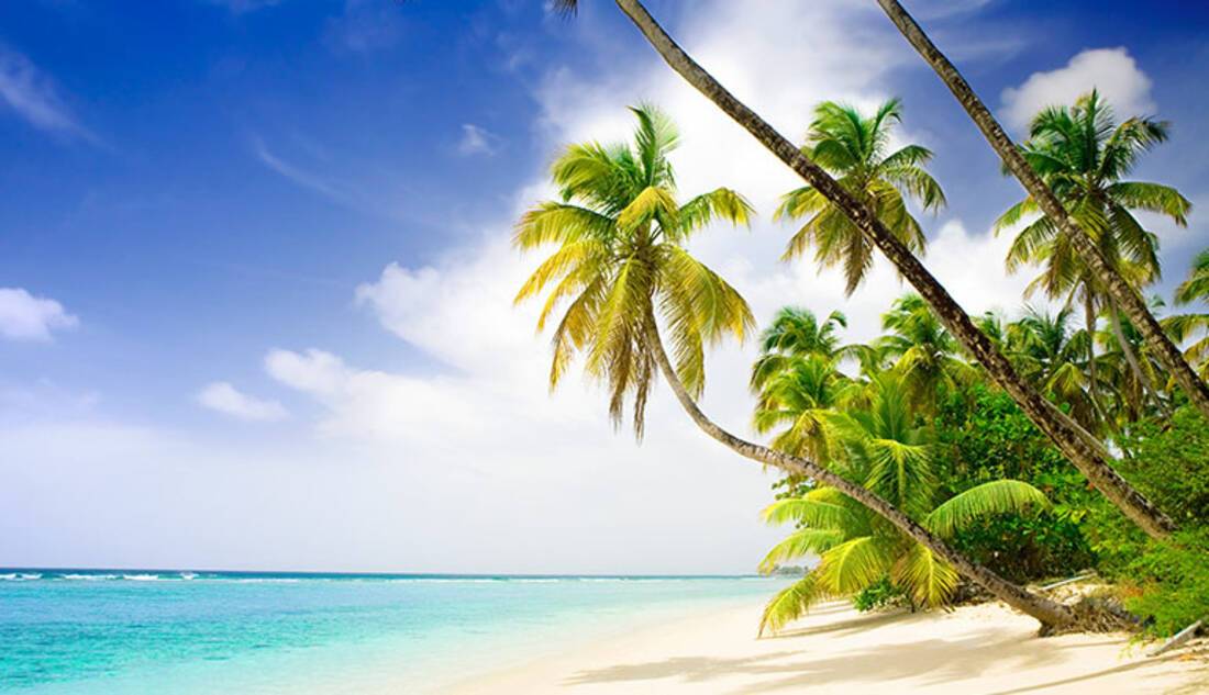 Caribbean