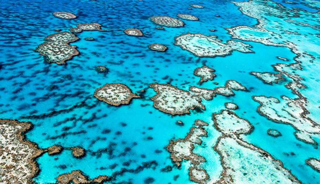 Great Barrier Reef, Australia