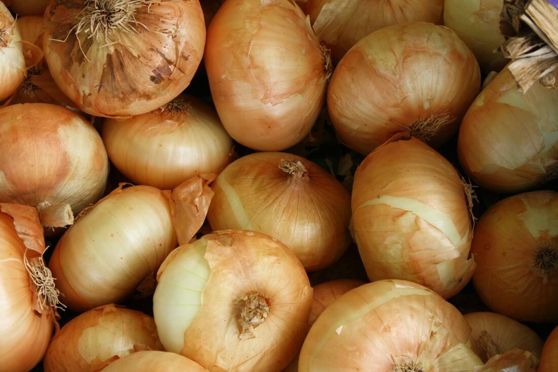 Hanging onions on your front door in Greece on New Year's Eve
