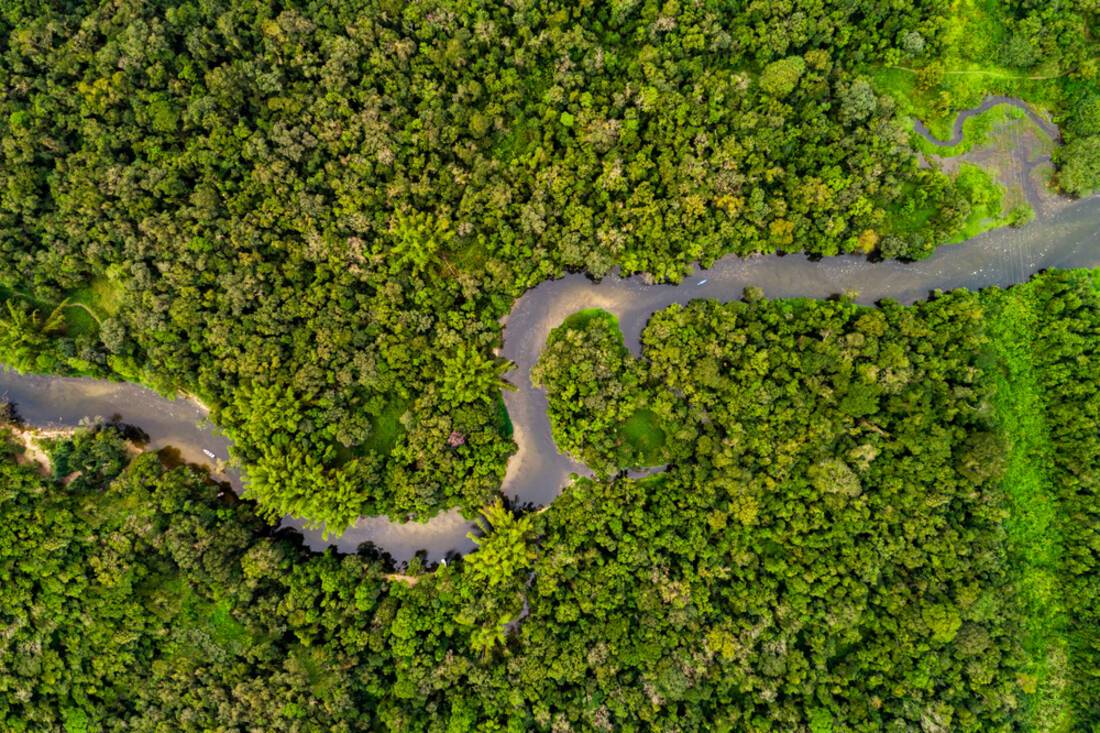 Winding Amazon river