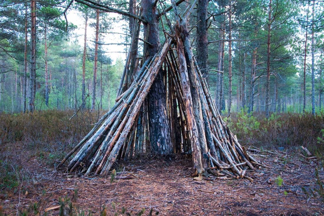 Wicki-up survival shelter in Alaska