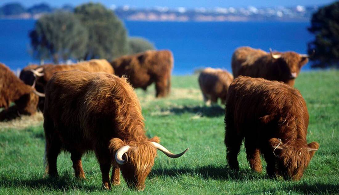 Churchill Island Heritage Farm, Phillip Island