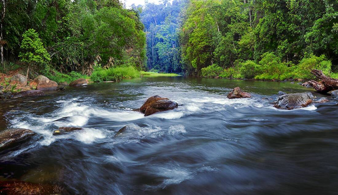 White water rafting North Johnstone River