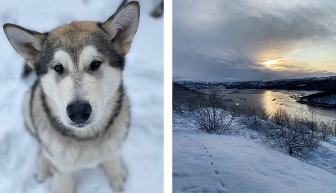 Hike up Langora, Kirkenes