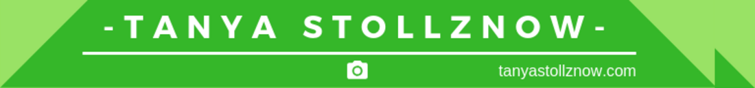 Tanya Stollznow top tips for wildlife photographers header