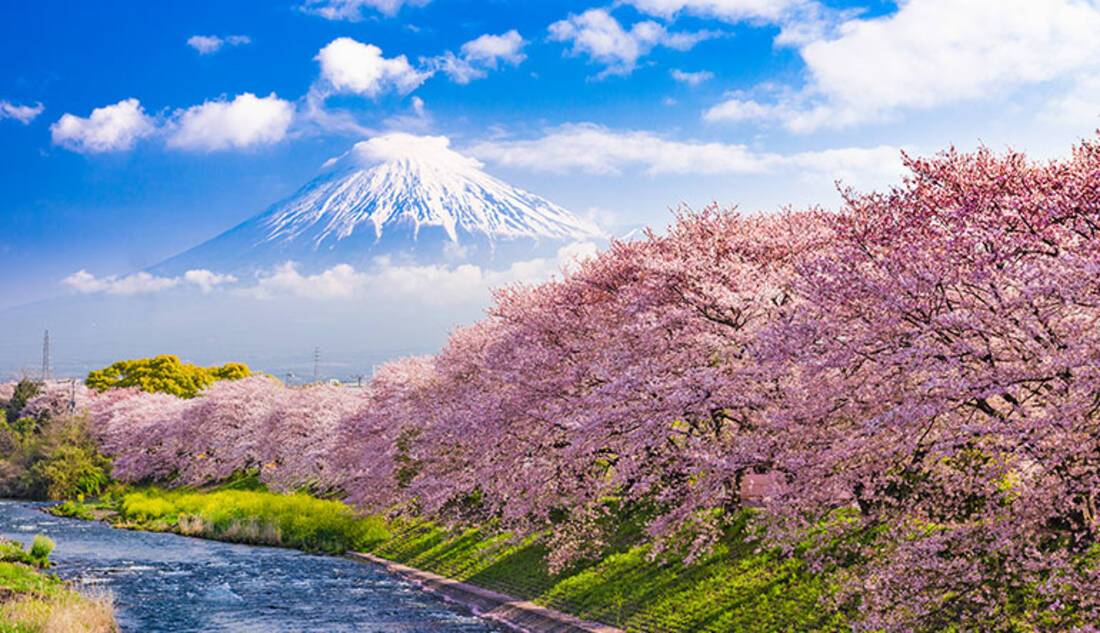 Tokyo, Japan