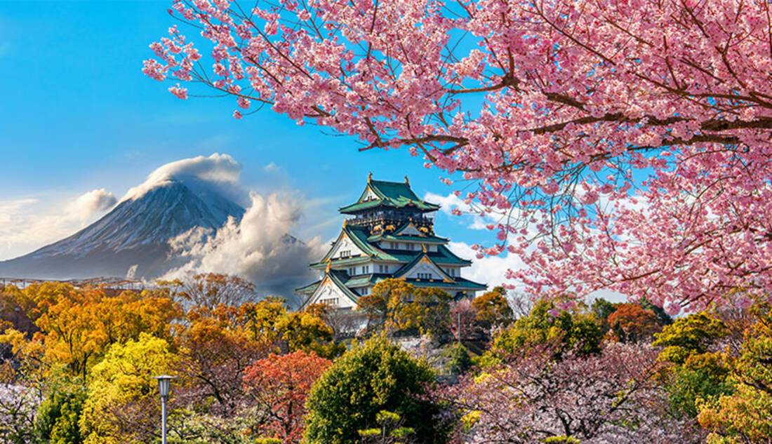 Spring in Japan