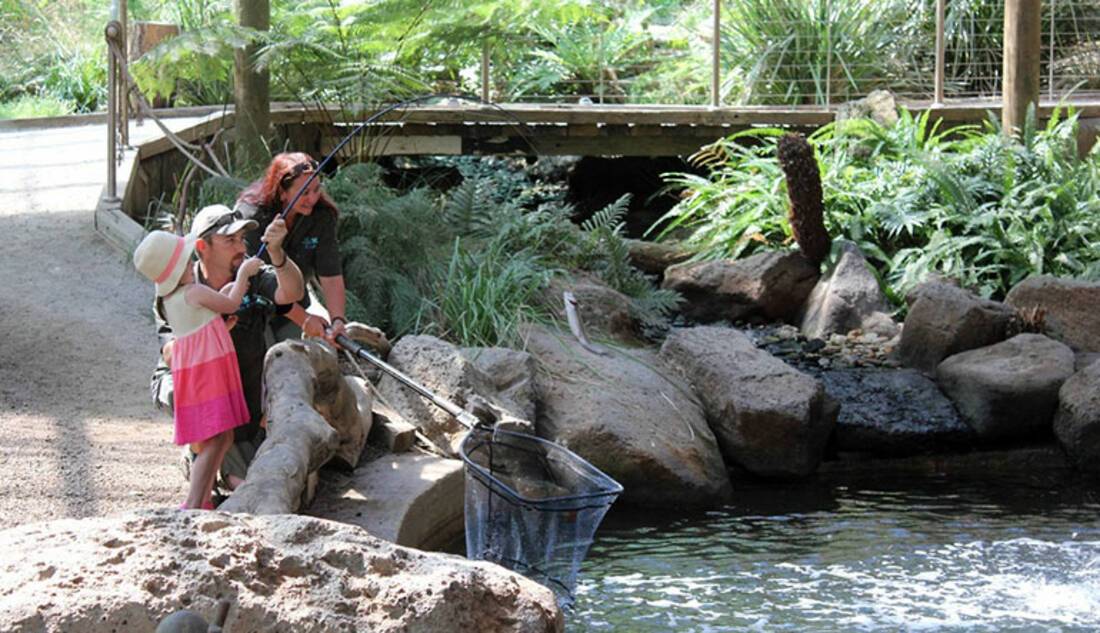 Rhyll Trout & Bush Tucker Farm, Phillip Island