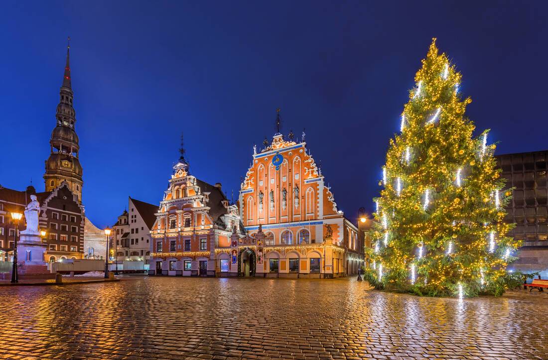 Best Christmas trees around the world ROL Cruise Blog