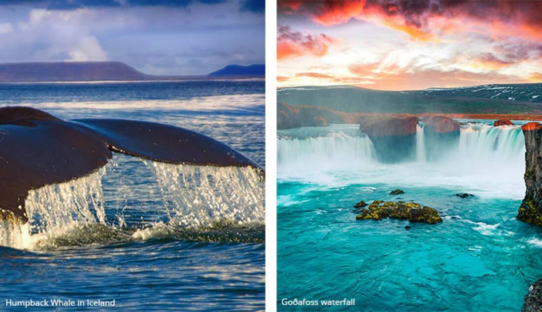 Godafoss Waterfall, Humpback Whale