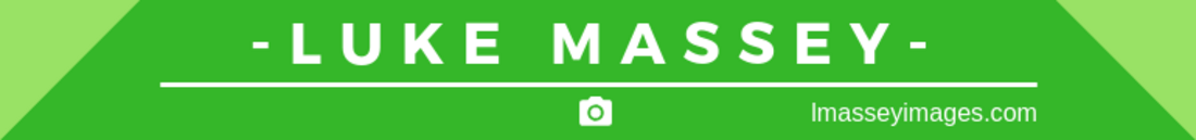 Luke Massey top tips for wildlife photographers header