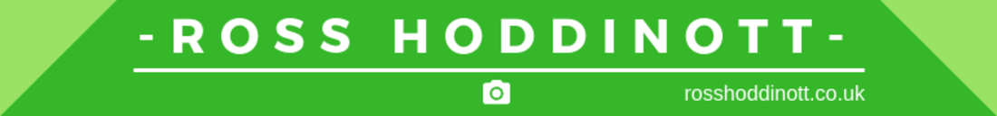 Ross Hoddinott