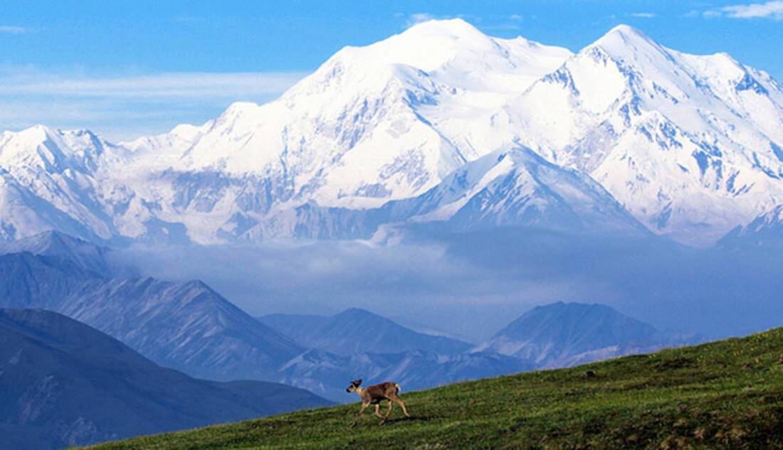 Denali National Park, America