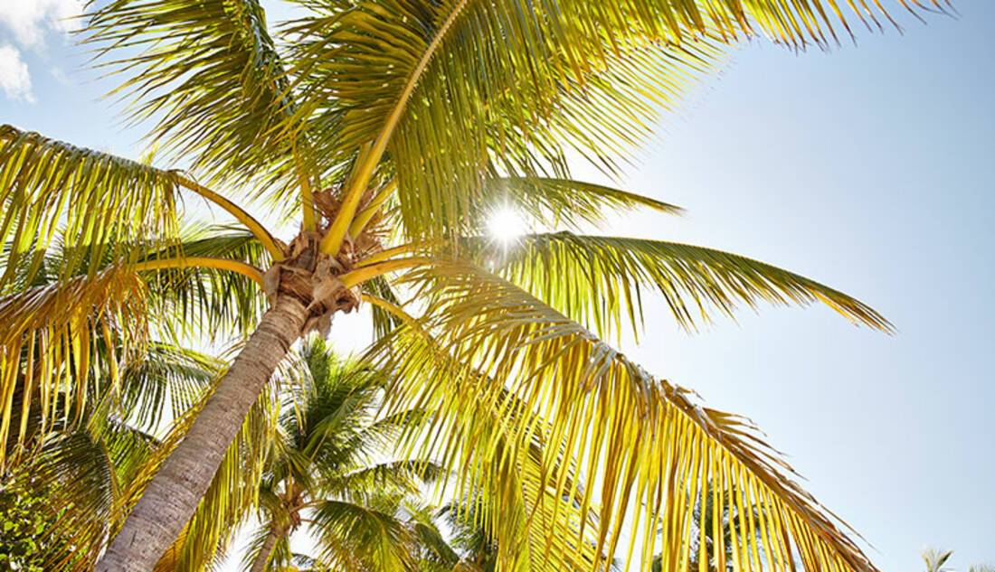 Princess Cays, Princess Cruises