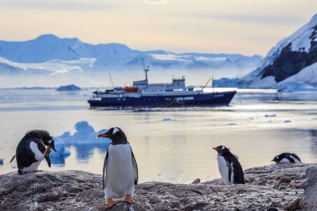 Antarctica cruise