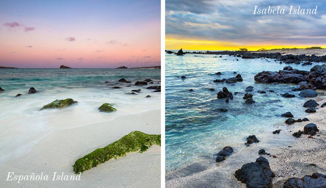 Galapagos Islands Cruises