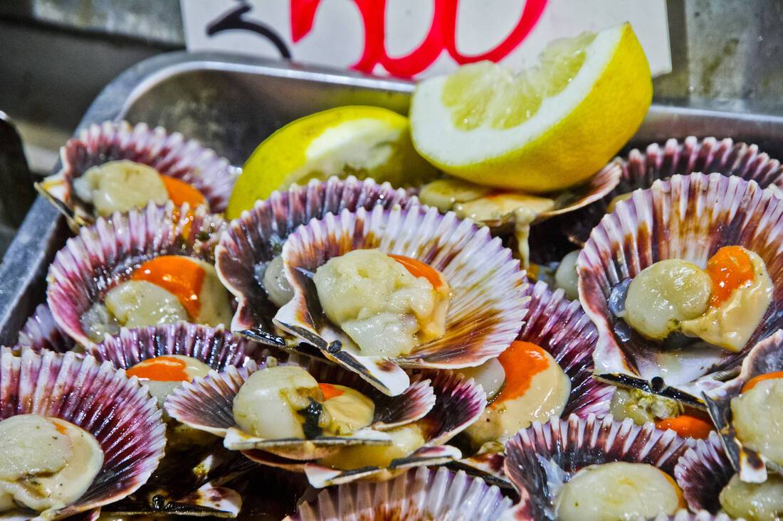 Clams in Santiago market Chile