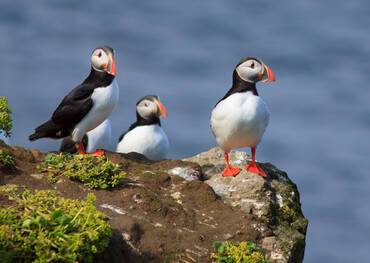 Grimsey Island