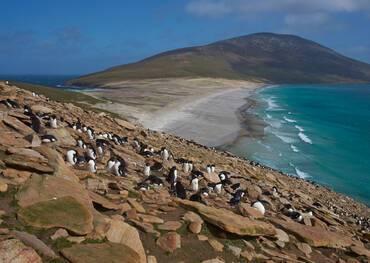 Saunders Island