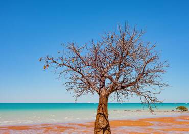 Wyndham,Western Australia