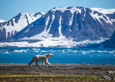 Exploring Spitsbergen