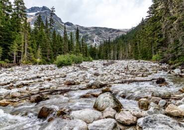 Rogers Pass