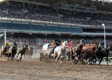 Calgary Stampede