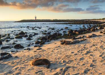 Visit Puerto Baquerizo on a cruise to the Galapagos Islands