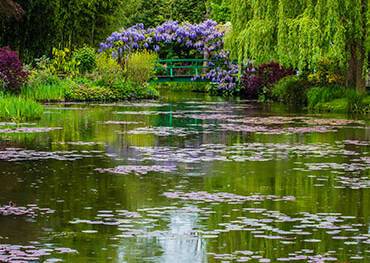 A garden in Giverny