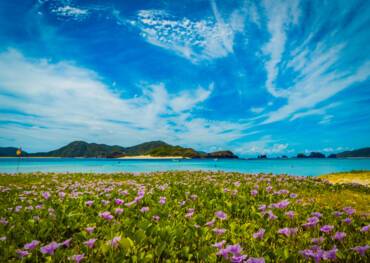 Zamami Island, Japan
