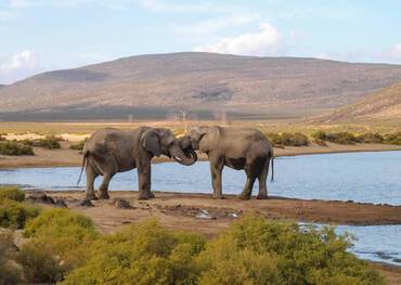 Cape Town, South Africa ★Aquila Private Game Reserve★