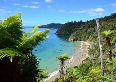 Stewart Island, New Zealand