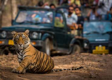 Ranthambore National Park