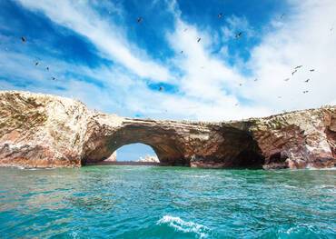 Birds in Ballestas Island (Paracas/Pisco, Peru)